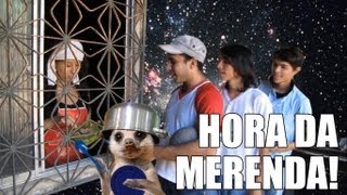 Suricate Seboso - Hora da Merenda