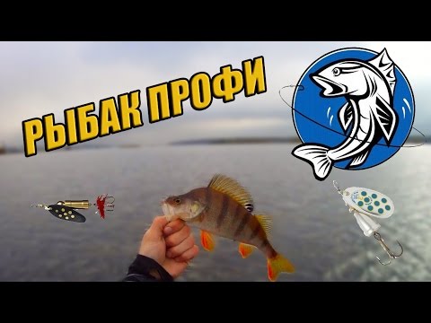 ловля трофейного окуня на спиннинг ловля трофейного окуня на спиннинг