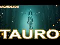 Video Horóscopo Semanal TAURO  del 20 al 26 Noviembre 2022 (Semana 2022-48) (Lectura del Tarot)