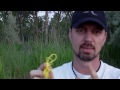 DIY StickPic - Plus Tips & Tricks For Better Outdoor Videos