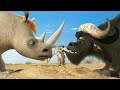 Thumbnail 1 for ANIMALS UNITED 3D TRAILER ITA + FILM COMPLETO ITA Thumbnail 1 for ANIMALS UNITED 3D TRAILER ITA + FILM COMPLETO ITA