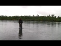 Circle Spey Basics