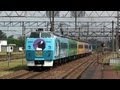 キハ183系0番台 旭山動物園号 滝川駅・旭川駅 【JR Hokkaido