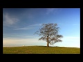 12 Surah Yusuf (complete) album artwork