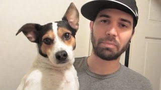 WORLDS WORST PUPPY!  (11.19.13 - Day 1664)