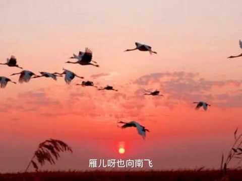 《冬恋》翻唱一首由日本歌曲改编的民歌