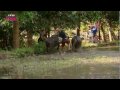 Water Buffalo Racing - Last Woman Standing - BBC Three