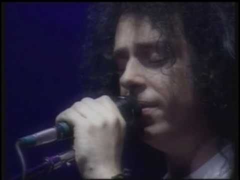 I Won't Hold You Back (live)