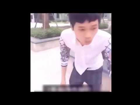 2019 Funny video ,funny dog ,funny