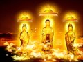 Niệm Phật 4 chữ - A Di Đà Phật - Thầy Thích Trí Thoát