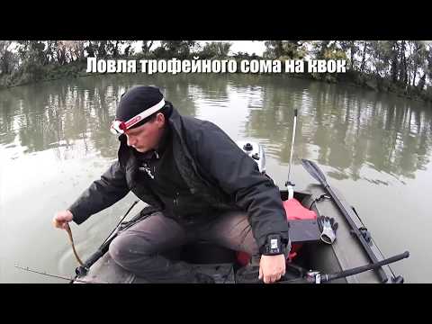 сом видео youtube сом видео youtube