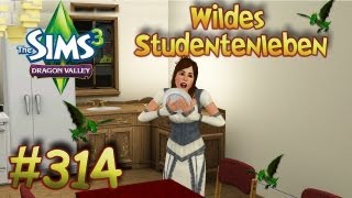 Let's Play Die Sims 3 Wildes Studentenleben #314 Garten - und Drachenpflege