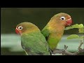 ĐÁM CƯỚI THANH NGÂN & KHÁNH TÂM 3