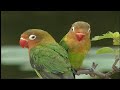 ĐÁM CƯỚI THANH NGÂN & KHÁNH TÂM 3