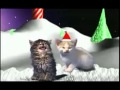 Canção Gatinhos Canta Natal 2014