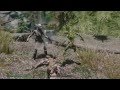 skyrim special edition deadly combat