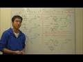 Alkene Addition Reactions Made Easy! - Product Prediction Tips! - Organic Chemistry
