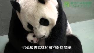 給我一個抱抱 Give Me a Hug