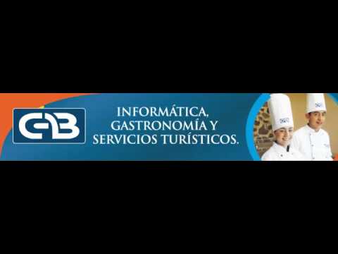 ESTUDIOS BACHILLERATO estudios bachillerato: