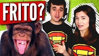 CARNE DE MACACO? - Perguntas e Respostas. Ep. 103