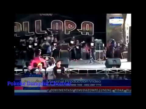 download video dangdut palapa mp4
