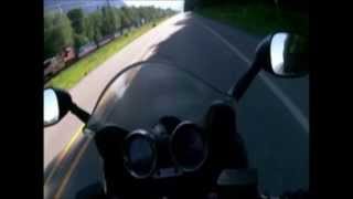 Motorcycle driver collides with bear on a highway