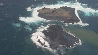 年内につながる可能性 西之島近くの新島