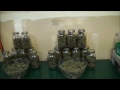 Growing Weed In My Closet - Final Harvest and Smoke Reports