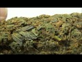 Growing Weed In My Closet - Final Harvest and Smoke Reports