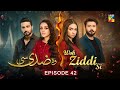 Woh Ziddi Si - Episode 42 - 10th Jan 2025 [ Aina Asif & Shazeal Shaukat ]  - HUM TV