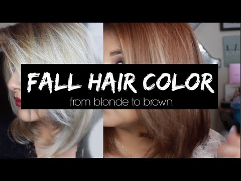 Fall Hair Color |from Blonde To Brown |kmanzo01