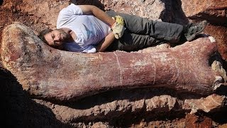 NEW LARGEST LAND ANIMAL EVER DISCOVERED!!