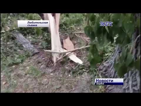 Бердские коммунальщики не торопятся
