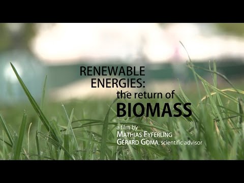 Renewable energies: the return of biomass