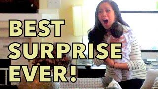 BEST SURPRISE EVER!!! - May 23, 2014 - itsJudysLife Daily Vlog