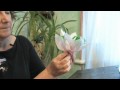 Paper Crafts : Instructions For Crepe Paper Flowers 