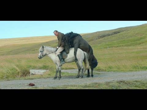 Of Horses and Men (2013)