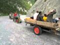 TRAFLEY2010.mpeg