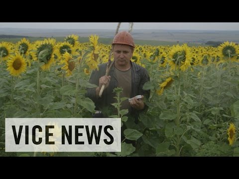Exclusive VICE News Footage of MH17 Aftermath: Russian Roulette (Dispatch 60)