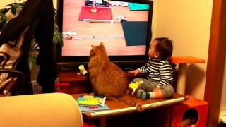 Gato e bebê prestando atenção no video