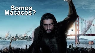 Sim, somos todos macacos.