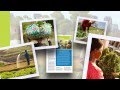Brochures présentant les résultats de la FAO