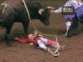 Rodeo Bull Attack