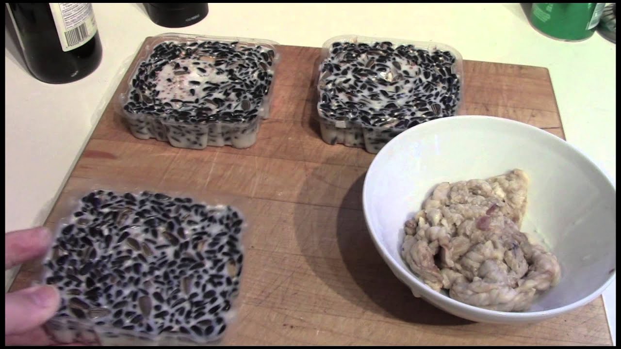 homemade bird food suet cakes youtube homemade bird food suet cakes youtube