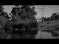 Bitter Poem