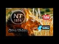 Thumbnail 3 for Tutorial Cómo Validar Microsoft Office Home And Student Thumbnail 3 for Tutorial Cómo Validar Microsoft Office Home And Student