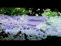 552. How to setup a planted tank. How to dirt a tank, New Tank HA