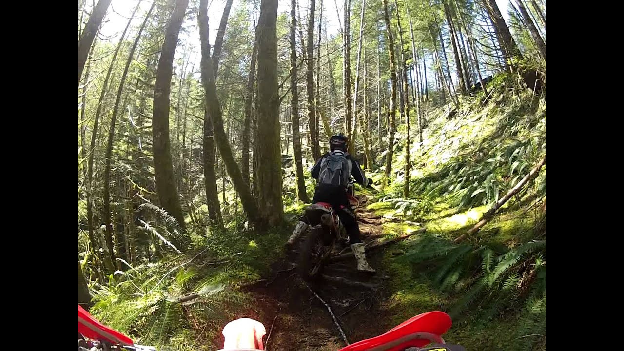 Tillamook state forest poker run