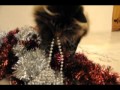 Chats de Noël.