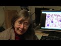 Stem cells - the future: an introduction to iPS cells